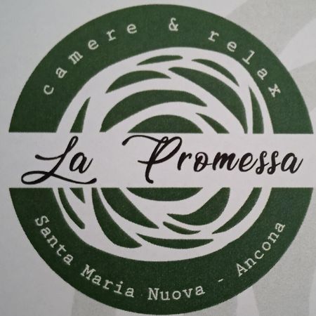 Villa La Promessa Santa Maria Nuova  Exterior foto